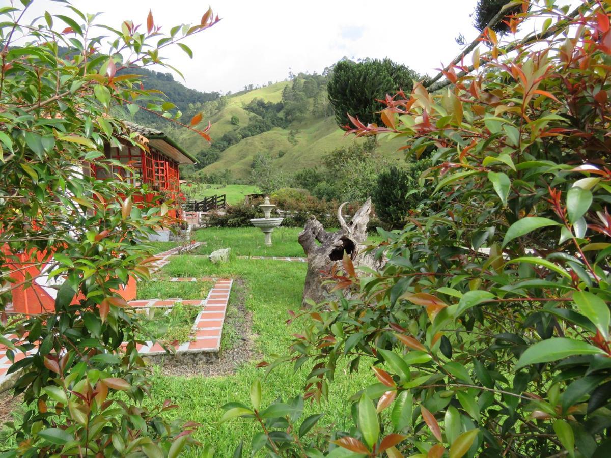 Ecohotel Pinohermoso Reserva Natural Σαλέντο Εξωτερικό φωτογραφία