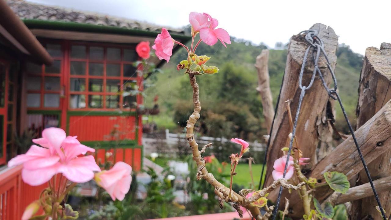 Ecohotel Pinohermoso Reserva Natural Σαλέντο Εξωτερικό φωτογραφία