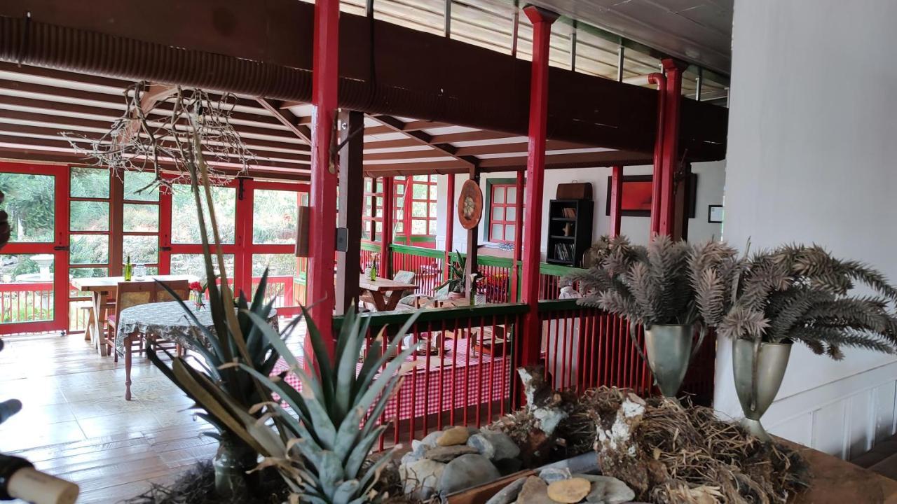 Ecohotel Pinohermoso Reserva Natural Σαλέντο Εξωτερικό φωτογραφία