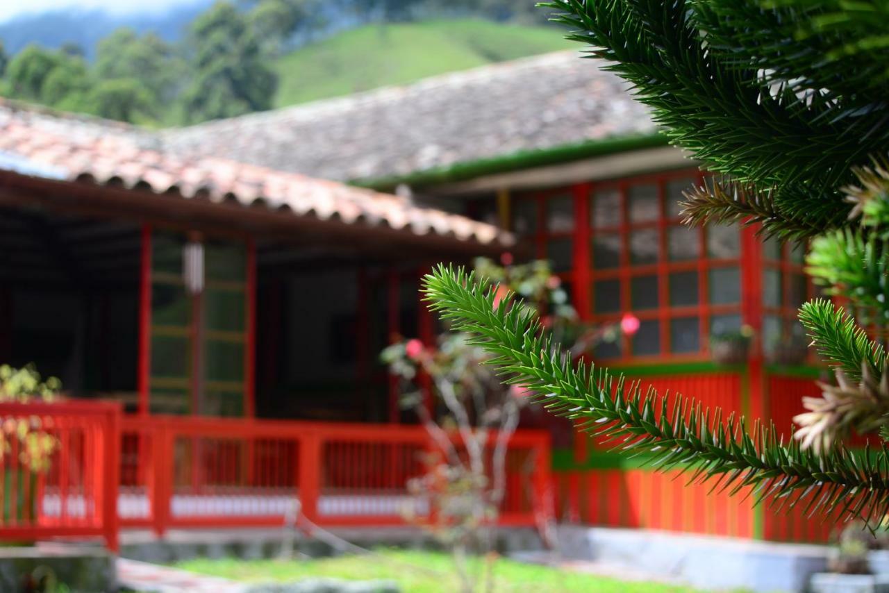 Ecohotel Pinohermoso Reserva Natural Σαλέντο Εξωτερικό φωτογραφία