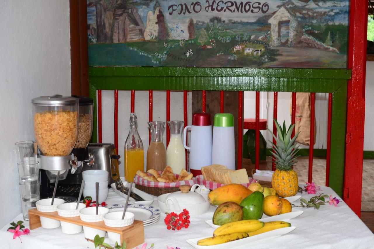 Ecohotel Pinohermoso Reserva Natural Σαλέντο Εξωτερικό φωτογραφία