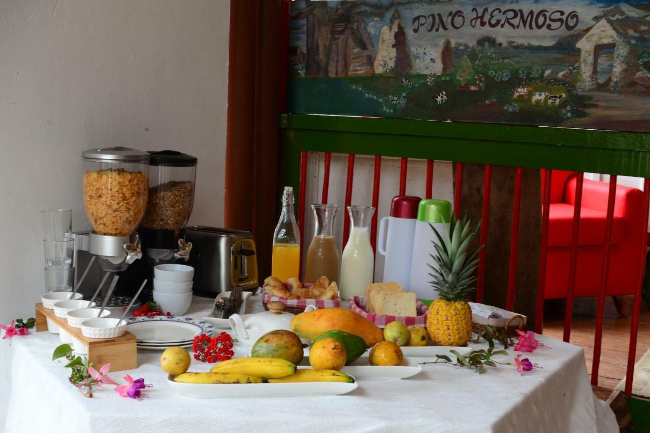 Ecohotel Pinohermoso Reserva Natural Σαλέντο Εξωτερικό φωτογραφία