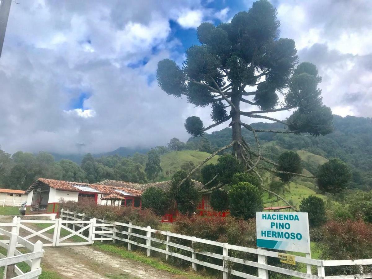 Ecohotel Pinohermoso Reserva Natural Σαλέντο Εξωτερικό φωτογραφία