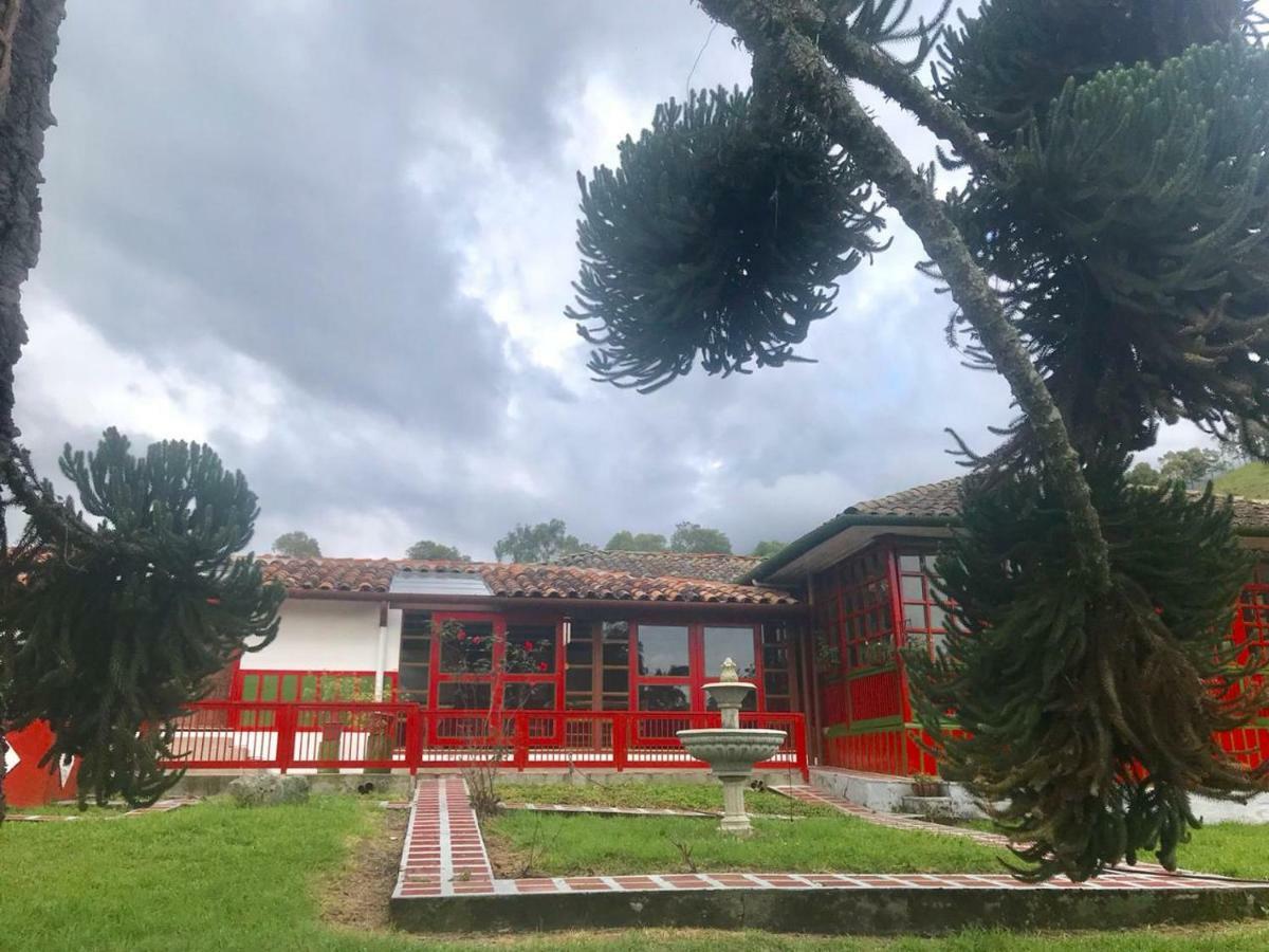 Ecohotel Pinohermoso Reserva Natural Σαλέντο Εξωτερικό φωτογραφία